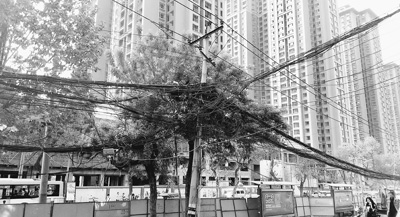 不要讓劣質(zhì)線纜的安全問題困擾城市建設